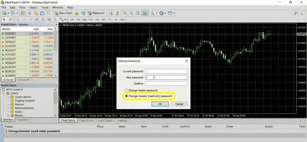 How to Change or Recover Your Investor Password