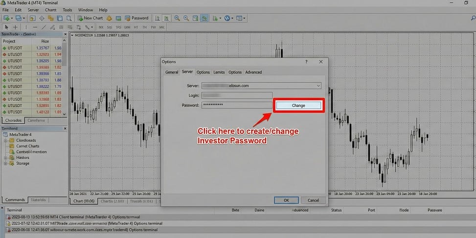 What is an MT4/MT5 Investor Password